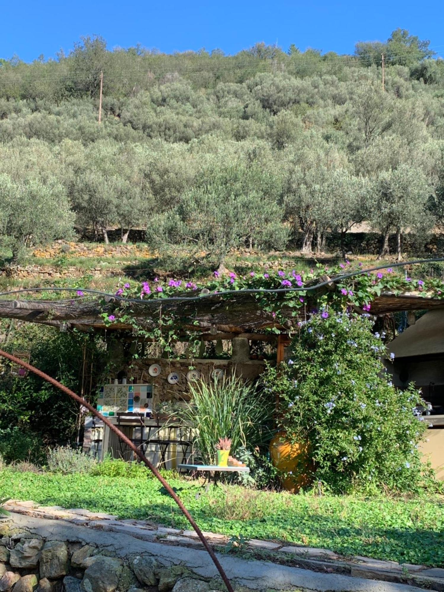 B&B Ca De Badin Noli Exterior photo