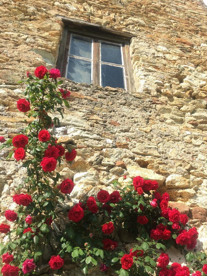 B&B Ca De Badin Noli Exterior photo